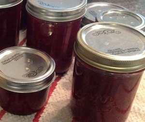 Lingonberry Jam